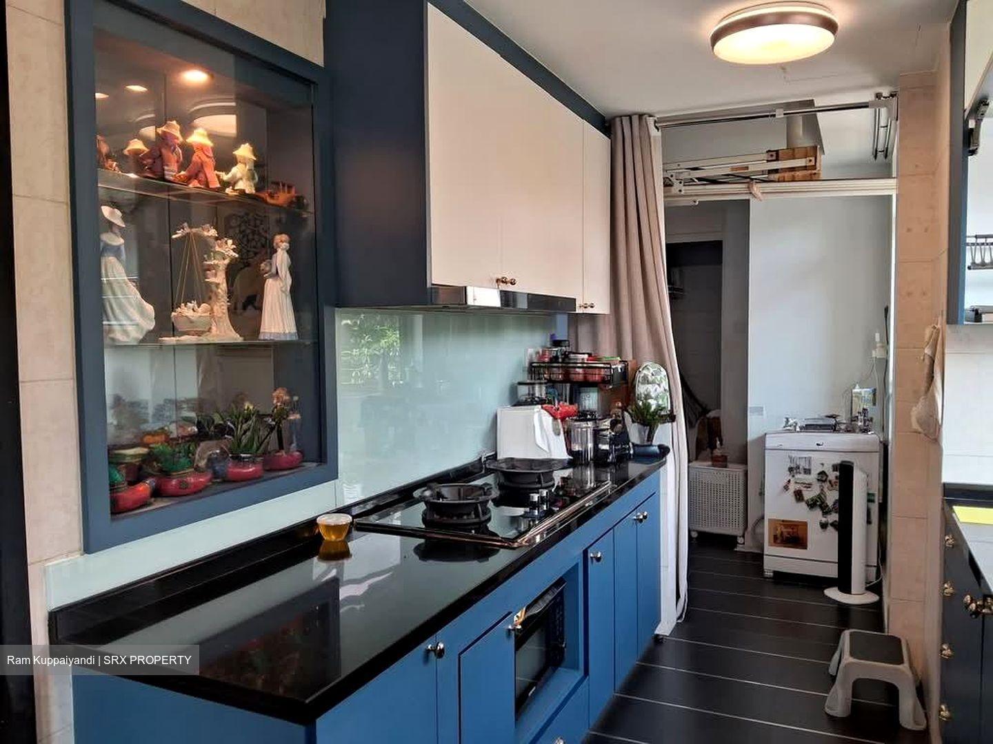 Lakeholmz (D22), Condominium #579182511